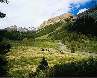 《荒野大镖客》上榜！外媒评最适合改编成电视剧的游戏